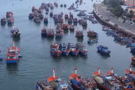 广治省：严格管控渔船，防止IUU捕捞