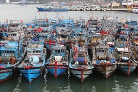 岘港力争消除非法、不报告和不管制捕捞