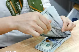 附图。图自越通社