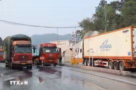 友谊国际边境口岸（谅山）的进出口活动。图自越通社