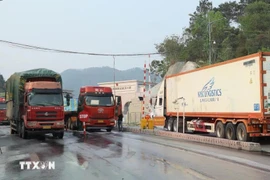 友谊国际边境口岸(谅山)的进出口活动。图自越通社