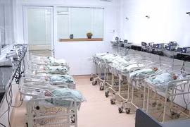 生育第三个及以上子女的党员不再受到纪律处分