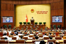 越南最高人民检察院检察长阮辉进澄清国会代表关心的问题。图自越通社