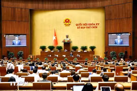 越南最高人民检察院检察长阮辉进澄清国会代表关心的问题。图自越通社