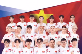 《2022-2023年越南电子竞技白皮书》问世。图自互联网