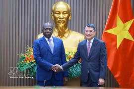 加强越南与安哥拉之间的务实合作