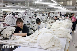 附图：2026年两位数的增长目标完全可行。图自越通社