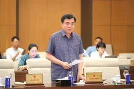 工贸部副部长阮生日新发表讲话。图自越通社