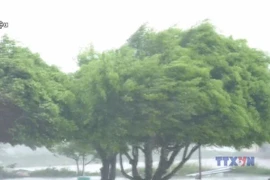 9号台风以时速20公里向西偏西北方向移动