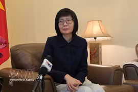 越南常驻东盟代表团团长孙氏玉香大使。图自越通社