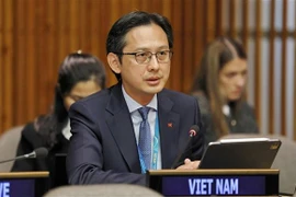越南常驻联合国代表团团长杜雄越大使。图自越通社