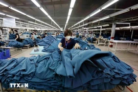 越南企业实现出口市场多样化。图自越通社
