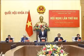 越南国会主席陈青敏发表讲话。图自越通社