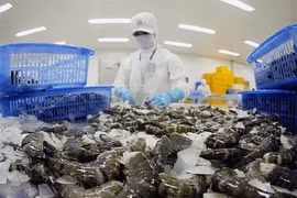 虾类加工链。图自互联网