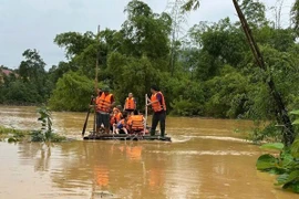 截至10月7日晚，第11号台风致越南各地7人死亡和失踪