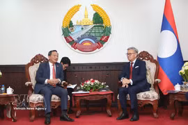 值此老挝第九届国会批准老挝外交部长通沙万·丰威汉出任老挝政府副总理之际，3月23日，越南驻老挝大使阮明心率大使馆代表团前来祝贺。图自越通社
