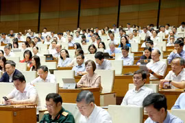 与会代表。图自越通社