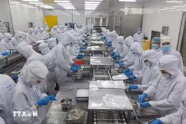 水产品加工链。图自越通社