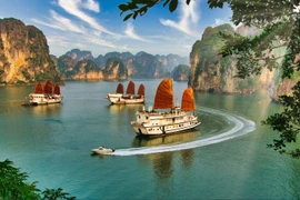 越南下龙湾美景。图自互联网