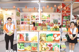 越南水果展位。图自越通社