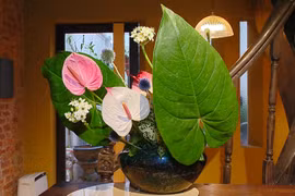 来河内Yohaku空间：感受日本花道的魅力