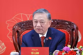 越共中央总书记苏林主持越共十四大成果国际新闻发布会。图自越通社