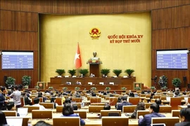 越南第十五届国会第十次会议场景。图自越通社