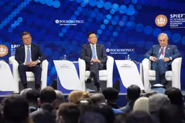 越南积极参与第28届圣彼得堡国际经济论坛