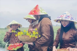 农业旅游体验项目的绿色旅游大使。图自越通社