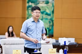 越南司法部副部长阮青静。图自越通社