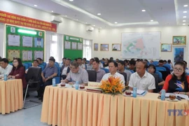 胡志明市昆岛特区探索森林与海洋碳信用模式建设