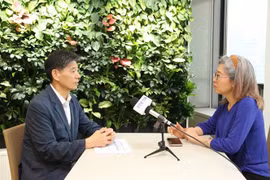 越通社驻首尔记者就此议题采访了韩越经济文化交流协会（KOVECA）会长权成泽（Kwon Sung Taek）。图自越通社