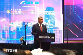马来西亚副总理扎希德·哈米迪发表讲话。图自越通社