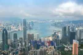 越南—中国香港贸易关系持续向好