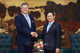 越南政府副总理裴青山会见欧盟委员会负责贸易和经济安全事务委员马罗什·谢夫乔维奇。图自越通社