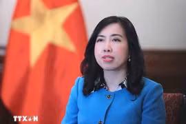 越南外交部副部长黎氏秋姮。图自越通社