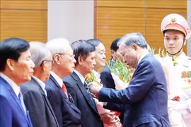 苏林向老一辈革命家、党和国家原高级领导人授予了80年、75年、60年、55年、50年、45年和40年党龄纪念章。图自越通社