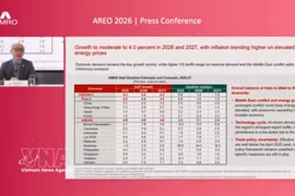AMRO首席经济学家何东表示，越南较好地应对了去年美国关税政策带来的冲击。图自越通社