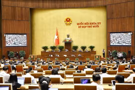 越南第十五届国会第十次会议现场。图自越通社
