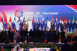 东盟-中国-海合会峰会：加强经济合作，致力于共同繁荣