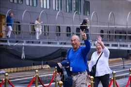 国际游客在岘港下船时兴奋不已。图自越通社