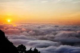 在北宁省同高山顶追云 捕捉“云海托日”的绝美画面