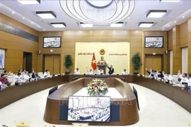 国会常务委员会委员表决。图自越通社