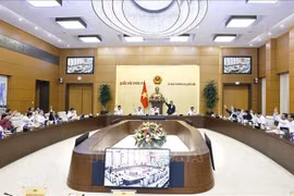 国会常务委员会委员表决。图自越通社