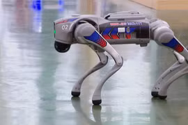 越南制造的“机器狗”引爆2025年秋季博览会