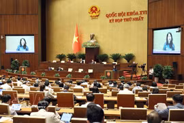 越南文化体育与旅游部部长林氏芳清发表讲话。图自越通社