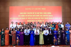 越南国会主席陈青敏会见了女性专职国会代表、国会常委会女性干部领导。图自越通社