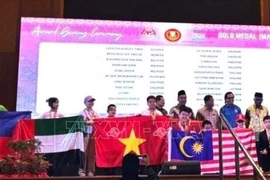 越南学生在国际数学与科学奥林匹克竞赛中荣获多个奖项。图自越通社
