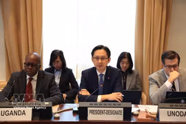 越南常驻联合国代表团团长、《不扩散核武器条约》（NPT）第十一次审议大会候任主席杜雄越大使在联合国日内瓦办事处主持了与各地区及成员国的磋商活动。图自越通社