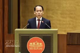 司法部部长黄青松就《法律普及教育法（修正案）》以及《国家赔偿责任法若干条款修改补充法》草案作了呈文和报告。图自越通社
